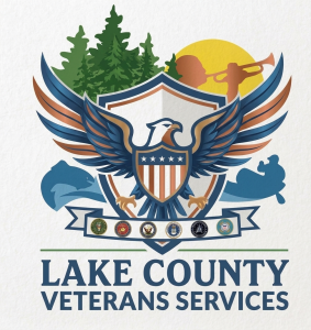 New VSO Logo